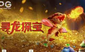 ledong网页版入口免费版