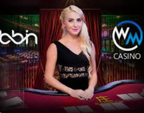 ledong网页版入口正式版