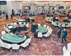 ledong网页版入口正式版