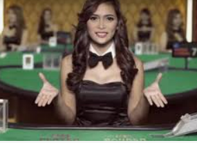 ledong网页版入口2024最新版